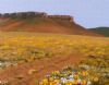 "Namaqualand Road"