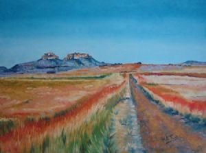"Road to Witkoppens"