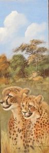 "Cheetah & cub - Kruger National Park"