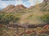 "Angora Gathering Klaarstroom Karoo"