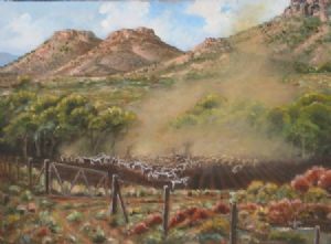 "Angora Gathering Klaarstroom Karoo"