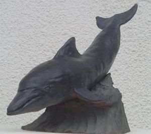 "Dolphin"