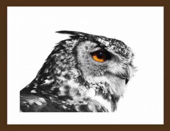 "Eagle Owl"