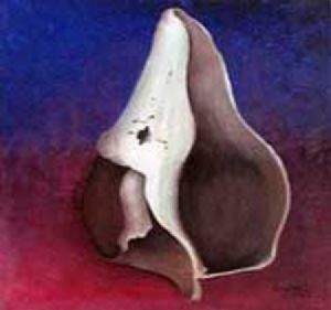 "Shell"