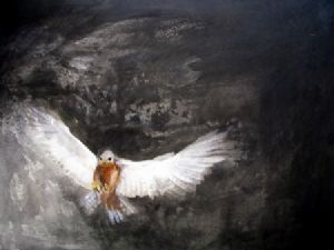 "Rock Kestrel"