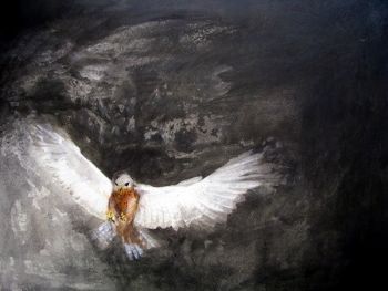 "Rock Kestrel"