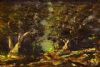 "Mist in the Forest (1)"