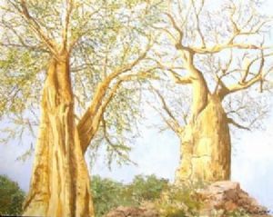 "The Ngala and Boabab tree"