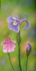 "Purple Iris"
