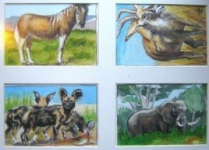 "Endangered Wildlife 2 Set of 4"