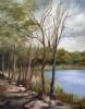 "langkloof dam"