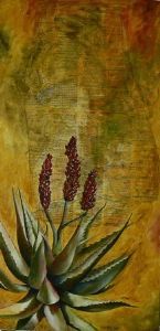 "Kruger Aloe"