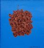 "Sickle Bush Pod"