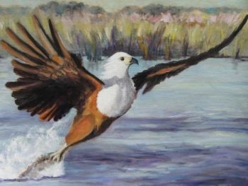 "Fish Eagle"