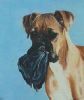 "Dog With Tobacco Pouch"