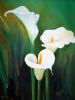 "Arums for Alda"