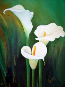 "Arums for Alda"