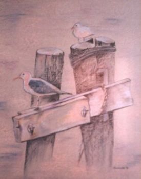 "Seagulls"