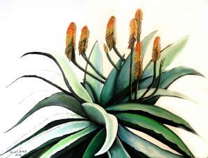 "Aloes against an Ice Blue Sky"