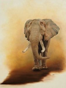 "Elephant Portrait"