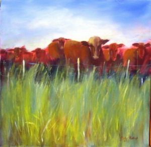 "red cattle"