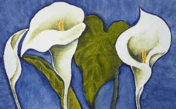 "SA Arum Lily"