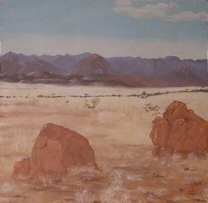 "Namib Scene"