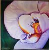 "Orchid"