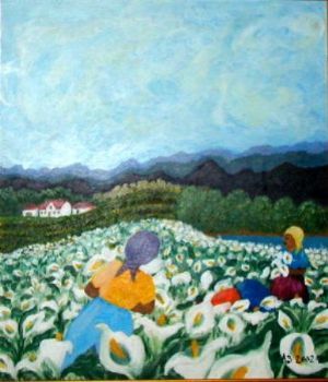 "Lily Fields"