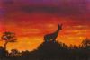 "Deer At Sundown"