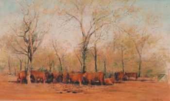 "Thabazimbi Bushveld"
