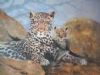 "Leopard and Cub"