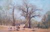 "Baobab Tree"