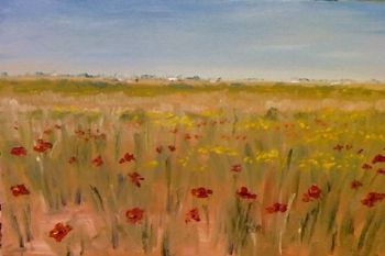 "Poppies in Jacobsbaai"