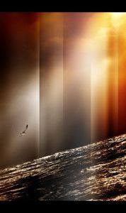 "In Chrysalis"