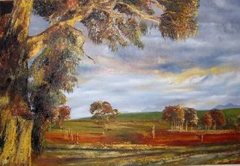 "Bluegum Tree"