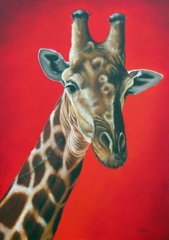 "Giraffe"