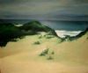 "Dunes at Kleinemonde"