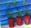 "Pot Plant One"
