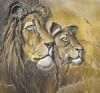 "Lion love"