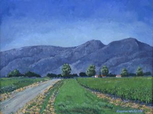 "Near Piketberg"