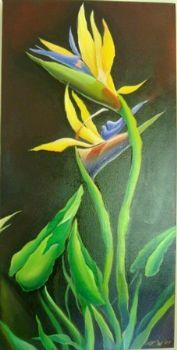 "Strelitzia"