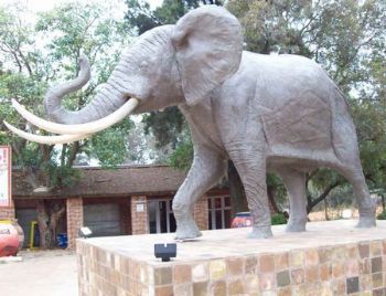 "Elephant"
