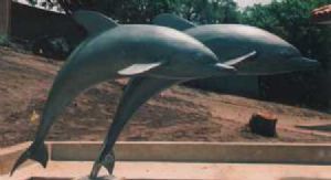 "Dolphins"