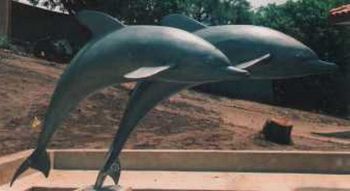 "Dolphins"