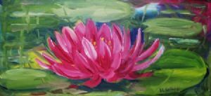 "Pink Waterlilies 1"