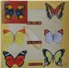 "Butterflies of Southern Africa - Series 2"