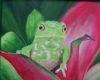 "Chaco Leaf Frog"