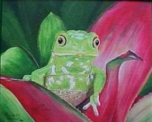 "Chaco Leaf Frog"