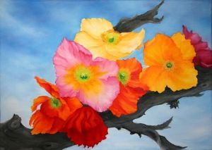 "Summerpoppys"
